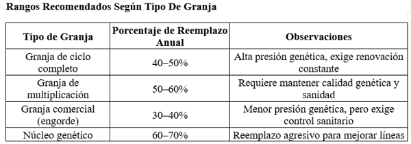 Selección de Reemplazo: Criterios Técnicos y Estratégicos - Image 1