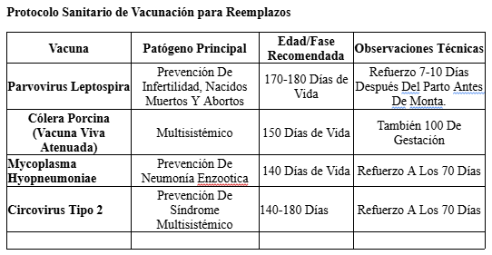 Selección de Reemplazo: Criterios Técnicos y Estratégicos - Image 4