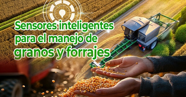 Sensores inteligentes para el manejo de granos y forrajes - Image 1