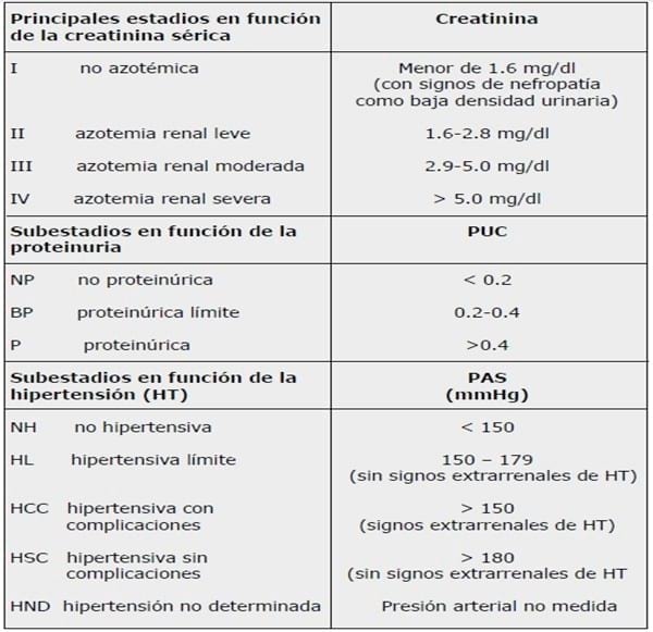 Determinación del nivel de kalemia en felinos con fallo renal crónico. - Image 1