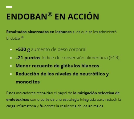 Síndrome de inflamación y necrosis porcina (SINS) en cerdos ¿Qué papel desempeñan las endotoxinas? - Image 7