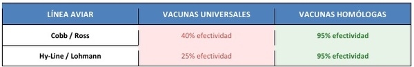 La revolución Molecular en Inmunología Aviar - Image 3