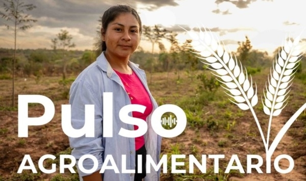 Los sistemas agroalimentarios son motor de la acción climática - Image 1