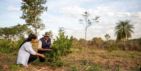 Los sistemas agroalimentarios son motor de la acción climática - Image 4
