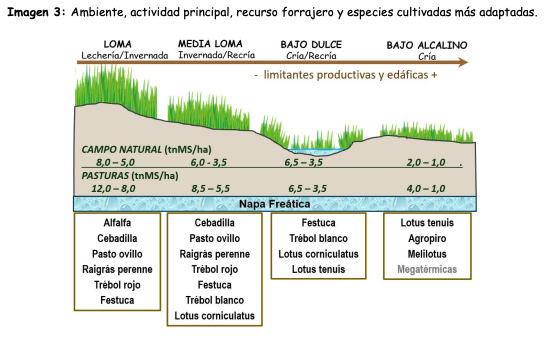 Imagen 3: Ambiente, actividad principal, recurso forrajero y especies cultivadas más adaptadas.