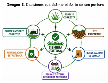 Imagen 2: Decisiones que definen el éxito de una pastura