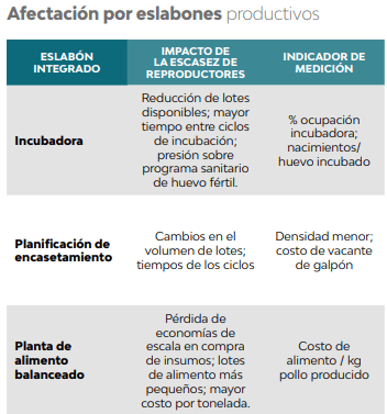 Pollo, cuando la genética limita el crecimiento - Image 1