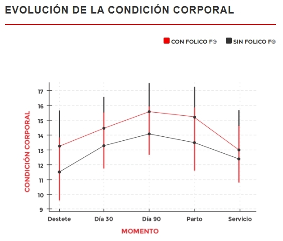 Evaluación de campo FOLICO F en cerdas de cría - Image 4