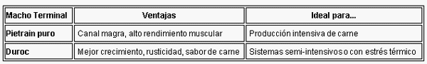 PIETRAIN PURO o PIETRAIN 3/4 - Image 3