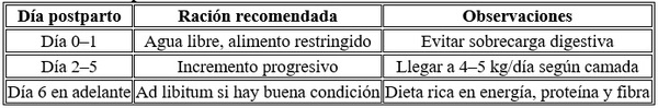 Producción láctea y conversion alimenticia de los lechones durante la lactancia - Image 5