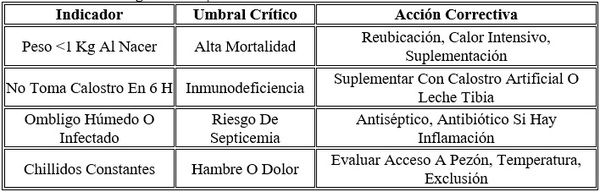 Producción láctea y conversion alimenticia de los lechones durante la lactancia - Image 16