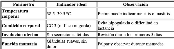 Producción láctea y conversion alimenticia de los lechones durante la lactancia - Image 4