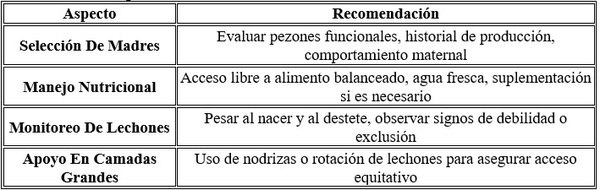 Producción láctea y conversion alimenticia de los lechones durante la lactancia - Image 1