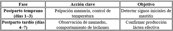 Producción láctea y conversion alimenticia de los lechones durante la lactancia - Image 8