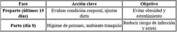 Producción láctea y conversion alimenticia de los lechones durante la lactancia - Image 7