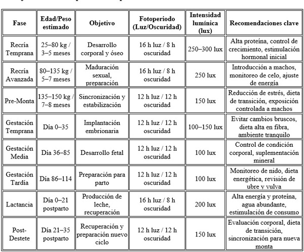Manejo del fotoperiodo en cerdas - Image 1