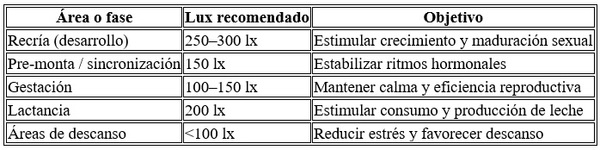 Manejo del fotoperiodo en cerdas - Image 2