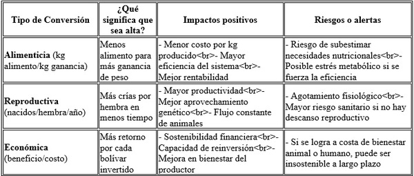 Las 4 patas de la producción porcina - Image 6