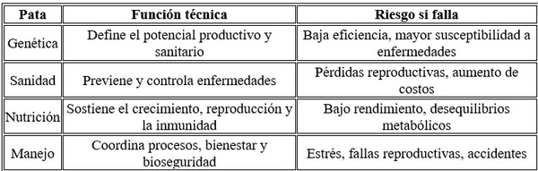 Las 4 patas de la producción porcina - Image 9