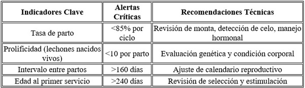 Las 4 patas de la producción porcina - Image 2
