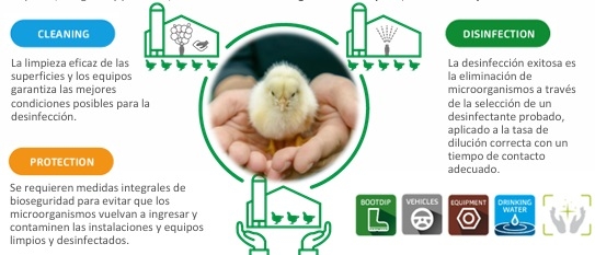 Manejo activo de crisis sanitaras: Control de fómites y zonificación contra el Virus de la Influenza Aviar - Image 2