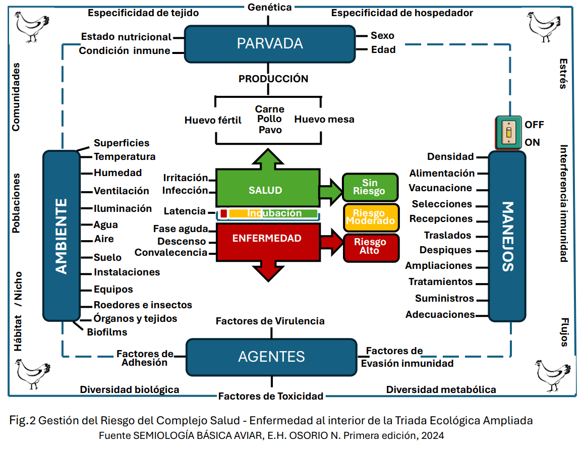 El Manejo de La Enfermedad Subclínica en avicultura - Image 5