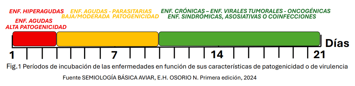 El Manejo de La Enfermedad Subclínica en avicultura - Image 3