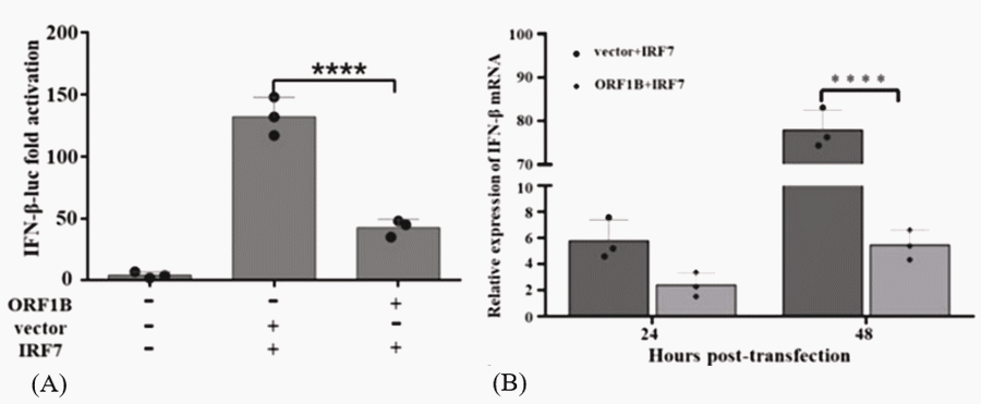 Potente efecto inmunosupresor del Adenovirus grupo C, serotipo-4 (FAdV-4)(Correlación entre la respuesta inmune Th1 Th2). Causante del Síndrome de Hepatitis Hidropericardio: Meta análisis - Image 4