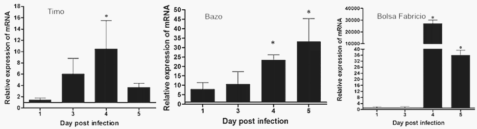 Potente efecto inmunosupresor del Adenovirus grupo C, serotipo-4 (FAdV-4)(Correlación entre la respuesta inmune Th1 Th2). Causante del Síndrome de Hepatitis Hidropericardio: Meta análisis - Image 6