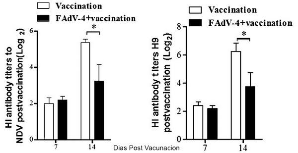 Potente efecto inmunosupresor del Adenovirus grupo C, serotipo-4 (FAdV-4)(Correlación entre la respuesta inmune Th1 Th2). Causante del Síndrome de Hepatitis Hidropericardio: Meta análisis - Image 18