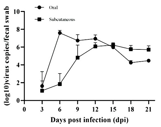 Potente efecto inmunosupresor del Adenovirus grupo C, serotipo-4 (FAdV-4)(Correlación entre la respuesta inmune Th1 Th2). Causante del Síndrome de Hepatitis Hidropericardio: Meta análisis - Image 11