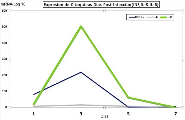 Potente efecto inmunosupresor del Adenovirus grupo C, serotipo-4 (FAdV-4)(Correlación entre la respuesta inmune Th1 Th2). Causante del Síndrome de Hepatitis Hidropericardio: Meta análisis - Image 17