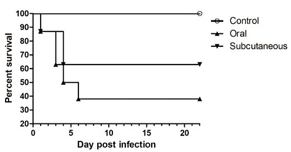 Potente efecto inmunosupresor del Adenovirus grupo C, serotipo-4 (FAdV-4)(Correlación entre la respuesta inmune Th1 Th2). Causante del Síndrome de Hepatitis Hidropericardio: Meta análisis - Image 12