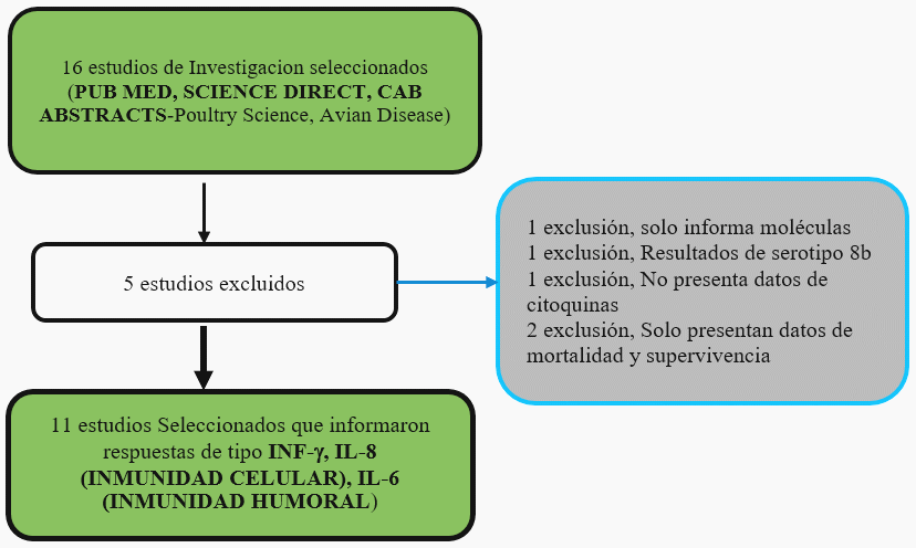 Potente efecto inmunosupresor del Adenovirus grupo C, serotipo-4 (FAdV-4)(Correlación entre la respuesta inmune Th1 Th2). Causante del Síndrome de Hepatitis Hidropericardio: Meta análisis - Image 13