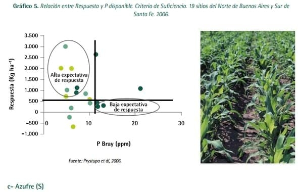 Mejores Prácticas de Manejo (MPM) de los Fertilizantes para el Cultivo de Maíz - Image 12