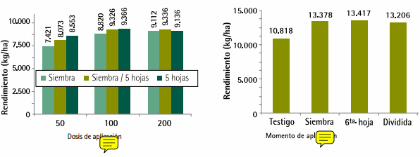 Mejores Prácticas de Manejo (MPM) de los Fertilizantes para el Cultivo de Maíz - Image 20
