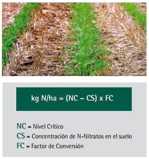 Mejores Prácticas de Manejo (MPM) de los Fertilizantes para el Cultivo de Maíz - Image 6