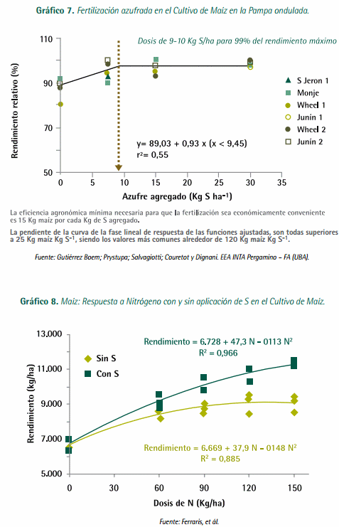 Mejores Prácticas de Manejo (MPM) de los Fertilizantes para el Cultivo de Maíz - Image 14