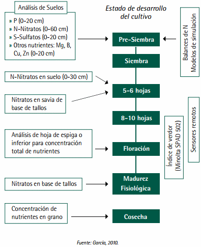 Mejores Prácticas de Manejo (MPM) de los Fertilizantes para el Cultivo de Maíz - Image 3