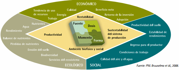 Mejores Prácticas de Manejo (MPM) de los Fertilizantes para el Cultivo de Maíz - Image 2