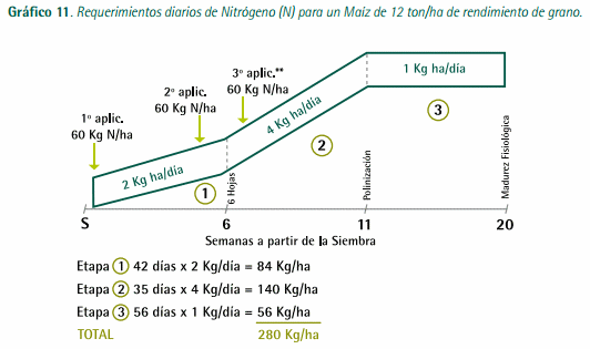 Mejores Prácticas de Manejo (MPM) de los Fertilizantes para el Cultivo de Maíz - Image 19