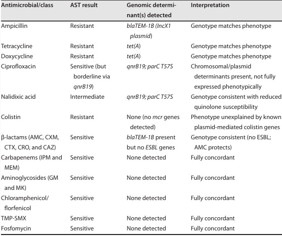 Caracterización de la resistencia antimicrobiana y el genoma de una Salmonella enterica serovar Rissen (FARPER-637) aislada de cerdos en Perú - Image 1
