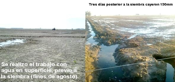 Problemas del exceso del agua - Image 2