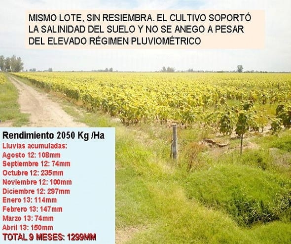 Problemas del exceso del agua - Image 3