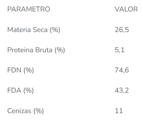 Suplementación estratégica: alternativas disponibles y efectivas ante la falta de forrajes - Image 1