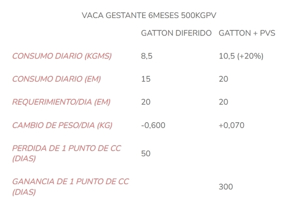 Suplementación estratégica: alternativas disponibles y efectivas ante la falta de forrajes - Image 3