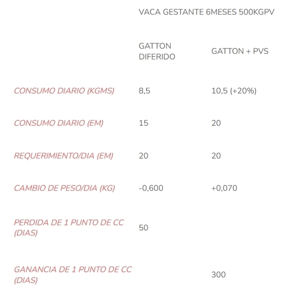 Suplementación estratégica en vacas de cría en el noa - Image 1