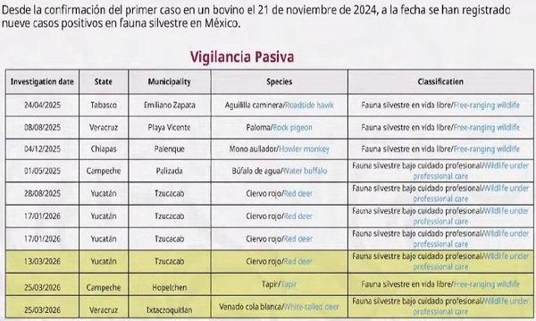 El gusano barrenador del ganado. Resumen 2025-2026 - Image 21