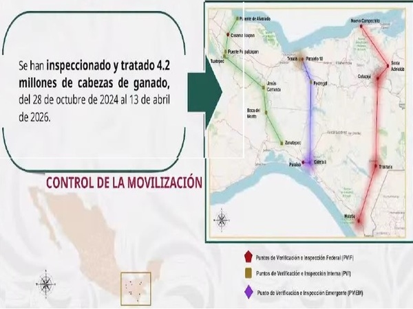 El gusano barrenador del ganado. Resumen 2025-2026 - Image 26