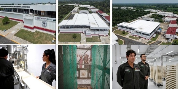 El gusano barrenador del ganado. Resumen 2025-2026 - Image 2